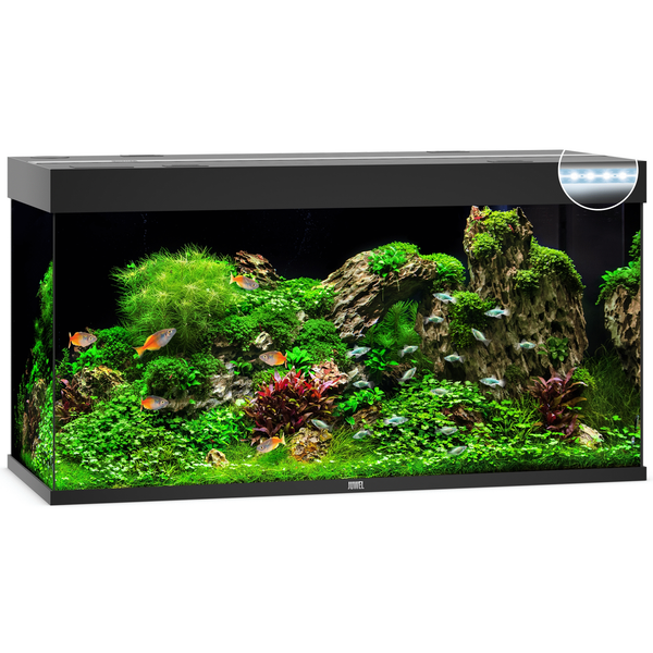 Juwel Aquarium Rio 350 Led 121x51x66 cm - Aquaria - Zwart Ca. 350 L