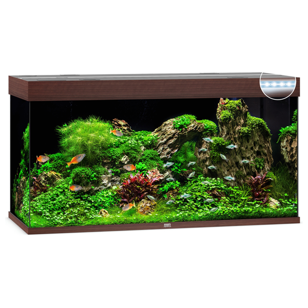 Afbeelding Juwel Aquarium Rio 350 Led 121x51x66 cm - Aquaria - Donker Hout door Petsplace.nl