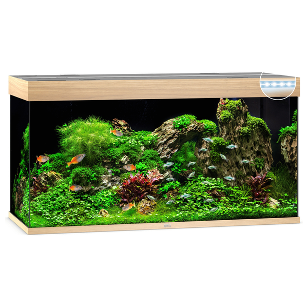 Juwel Aquarium Rio 350 Led 121x51x66 cm - Aquaria - Licht Hout