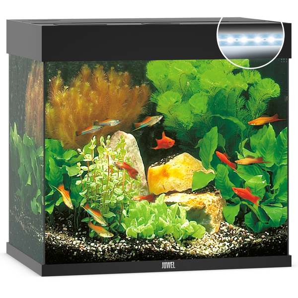 Juwel Aquarium Lido 120 Led 61x41x58 cm - Aquaria - Zwart Ca. 120 L