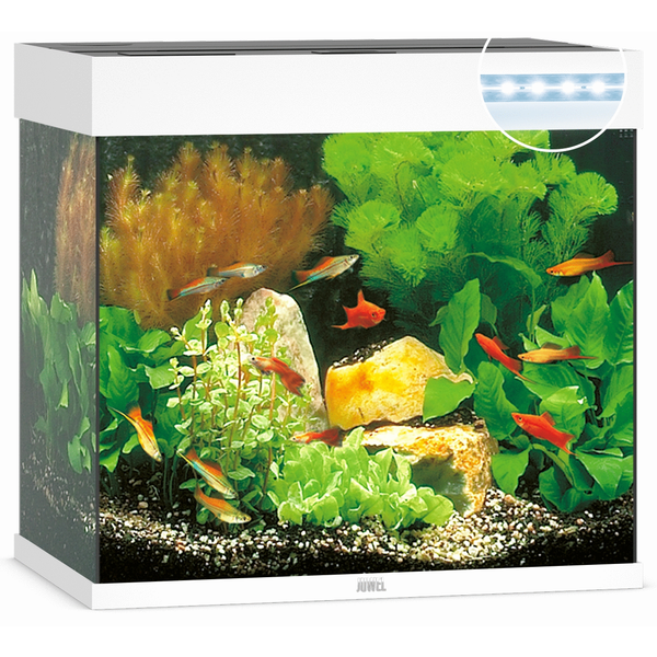 Juwel Aquarium Lido 120 Led 61x41x58 cm - Aquaria - Wit Ca. 120 L