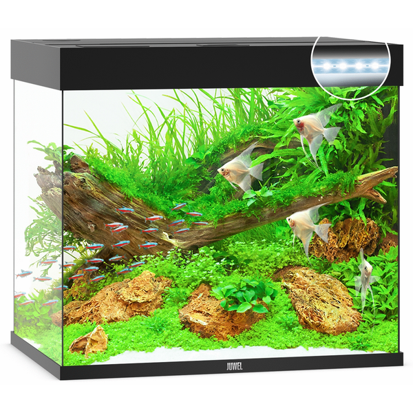 Afbeelding Juwel Aquarium Lido 200 Led 71x51x65 cm - Aquaria - Zwart Ca. 200 L door Petsplace.nl