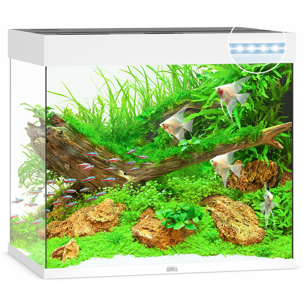 Juwel Aquarium Lido 200 Led 71x51x65 cm - Aquaria - Wit Ca. 200 L