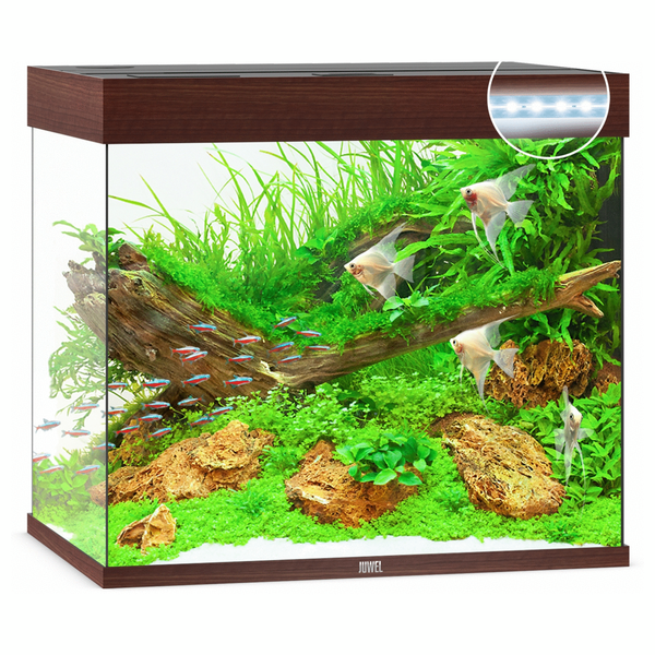 Juwel Aquarium Lido 200 Led 71x51x65 cm - Aquaria - Donker Hout