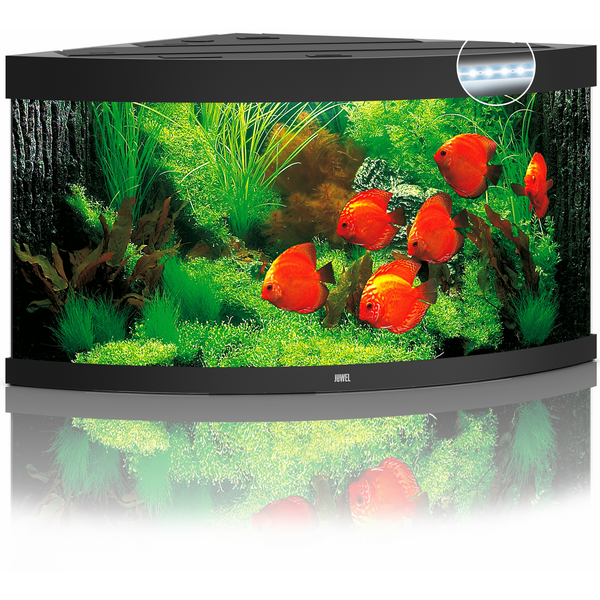 Afbeelding Juwel Aquarium Trigon 350 Led - Aquaria - 87x87x65 cm Zwart Ca. 350 L door Petsplace.nl