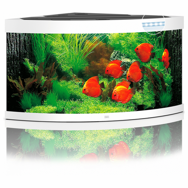 Afbeelding Juwel Aquarium Trigon 350 Led 87x87x65 cm - Aquaria - Wit door Petsplace.nl