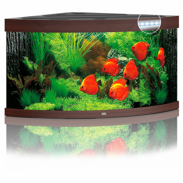 Afbeelding Juwel Aquarium Trigon 350 Led 87x87x65 cm - Aquaria - Donker Hout door Petsplace.nl