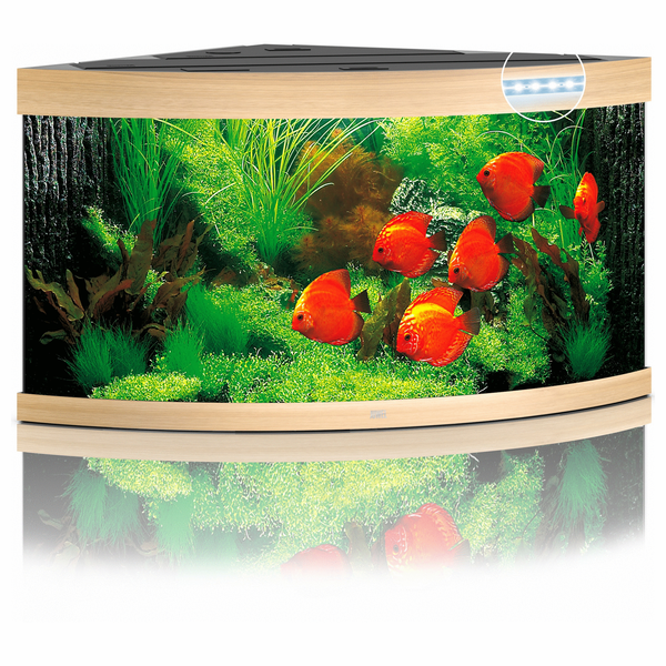 Afbeelding Juwel Aquarium Trigon 350 Led 87x87x65 cm - Aquaria - Licht Hout door Petsplace.nl