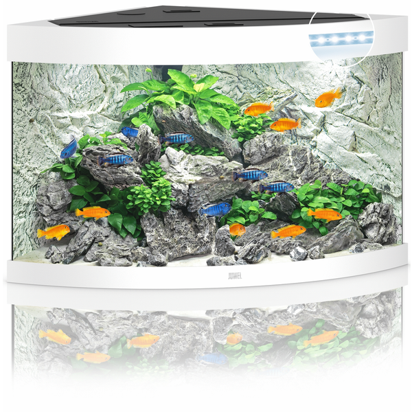 Juwel Aquarium Trigon 190 Led 70x70x60 cm - Aquaria - Wit Ca. 190 L