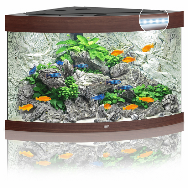 Juwel Aquarium Trigon 190 Led 70x70x60 cm - Aquaria - Donker Hout