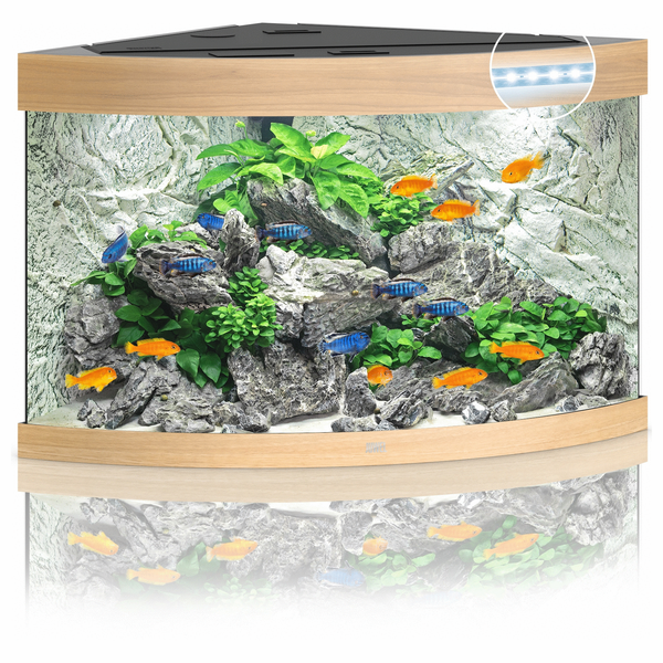 Afbeelding Juwel Aquarium Trigon 190 Led 70x70x60 cm - Aquaria - Licht Hout door Petsplace.nl
