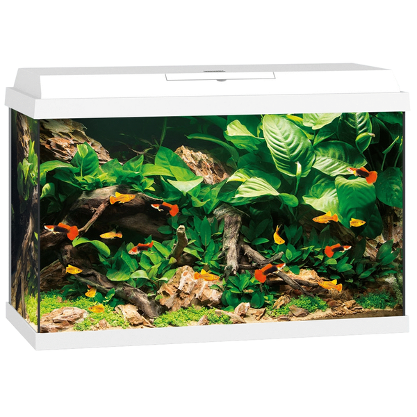 Afbeelding Juwel Aquarium Primo 70 61x31x44 cm - Aquaria - Wit Ca. 70 L door Petsplace.nl