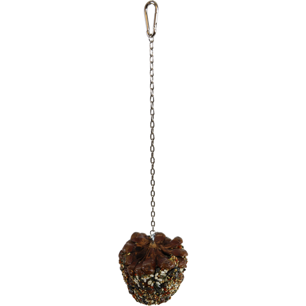 Afbeelding JR Farm Dennenappel met Zaad - 195 g door Petsplace.nl