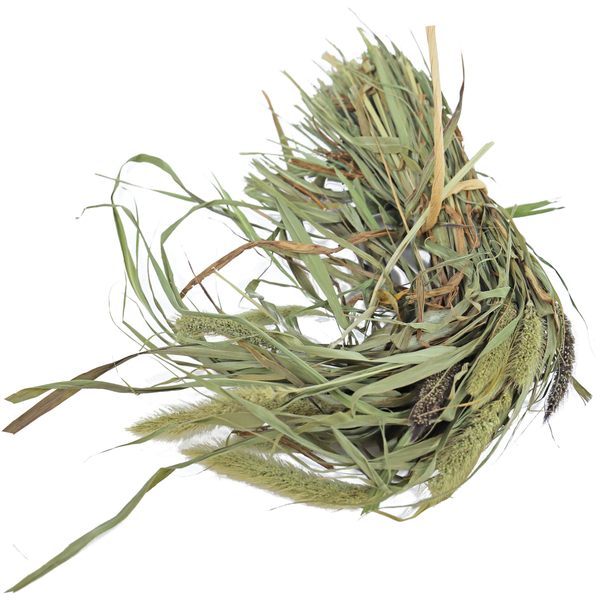 Afbeelding JR Farm Parkiet Senegal Gierst - 50 g door Petsplace.nl