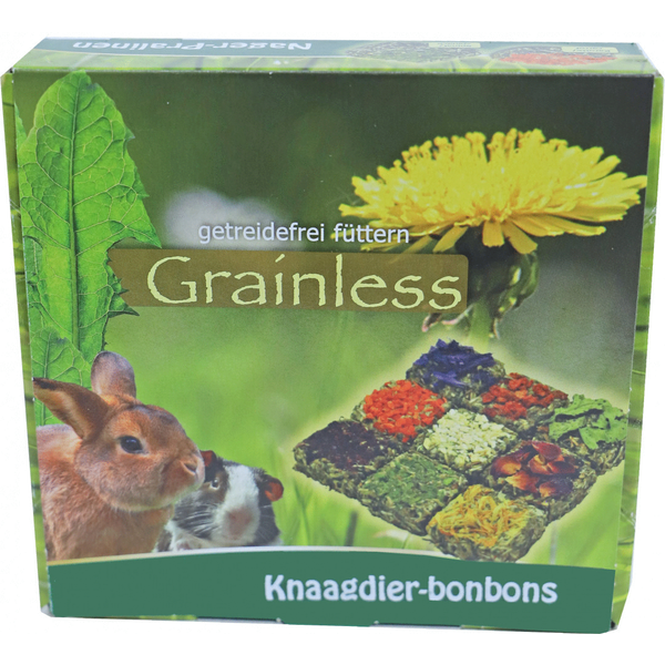 Afbeelding Gebr. de Boon JR Farm knaagdier Grainless bonbons 125 gram a 9 stuks 20398 door Petsplace.nl