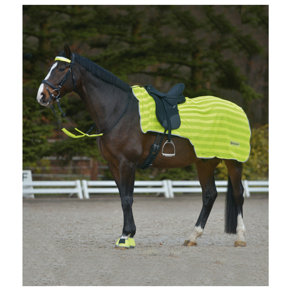 Afbeelding Waldhausen Reflecterende Uitrijdeken - Paardendekens - Neon One Size door Petsplace.nl