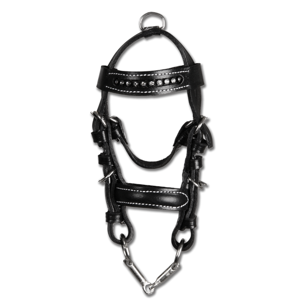 Afbeelding Waldhausen Miniatuur Hoofdstel - Paardenaccessoires - 17 cm Zwart door Petsplace.nl