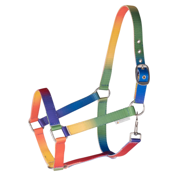 Afbeelding Waldhausen Halster Regenboog Multi-Color - Paardenhalster - Shetty door Petsplace.nl