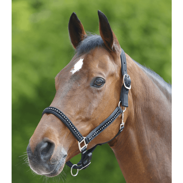 Afbeelding Waldhausen Halster Crystal - Zwart - Pony door Petsplace.nl