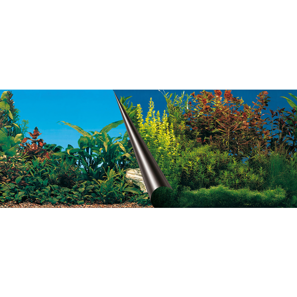 Afbeelding Europet Bernina Achterwandposter Beauty Met Sea - Aquarium - Achterwand - 120x50 cm door Petsplace.nl