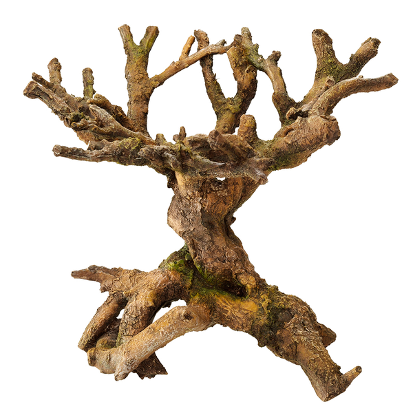 Afbeelding Europet Bernina Decor Bonsai Bruin - Aquarium - Ornament - 22x19x19 cm door Petsplace.nl