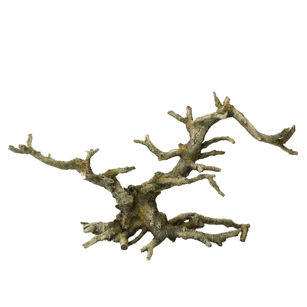 Afbeelding Europet Bernina Decor Bonsai - Aquarium - Ornament - 36.5x12x18 cm Grijs door Petsplace.nl