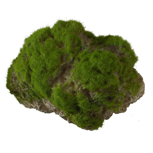 Aqua Della Decor Moss Stone Met Zuignap Large - Aquarium - Ornament - 17x11x13.5 cm