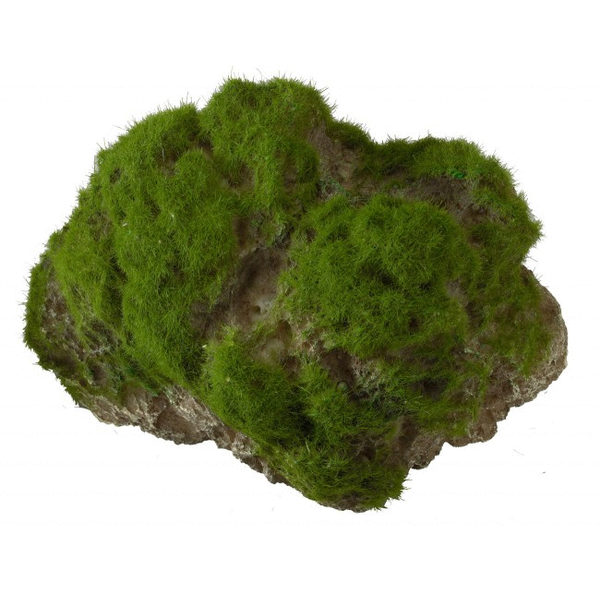 Afbeelding Aqua Della Decor Moss Stone Met Zuignap Large - Aquarium - Ornament - 17x11x13.5 cm door Petsplace.nl