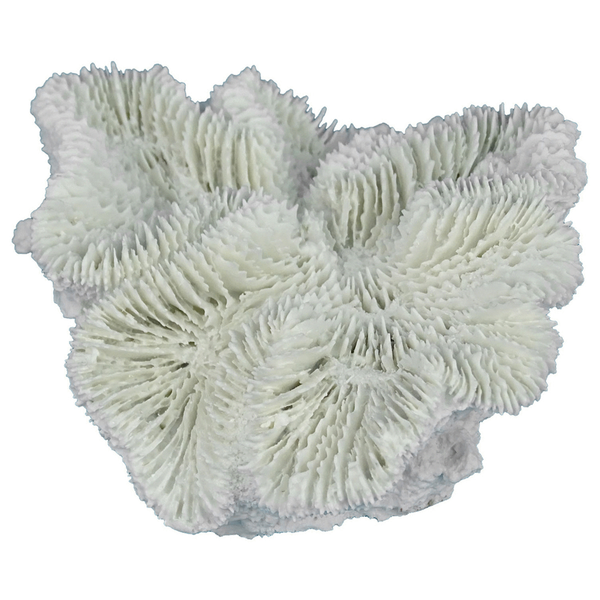Afbeelding Aqua Della Fungia Koraal - Aquarium - Ornament - 12x12x5 cm Wit door Petsplace.nl