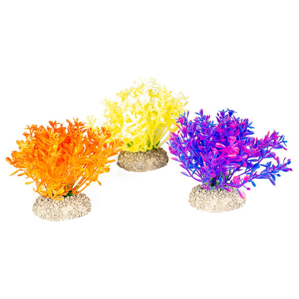 Afbeelding Aqua Della Decor Planten Glosso - Aquarium - Kunstplant - 9 cm Assorti door Petsplace.nl