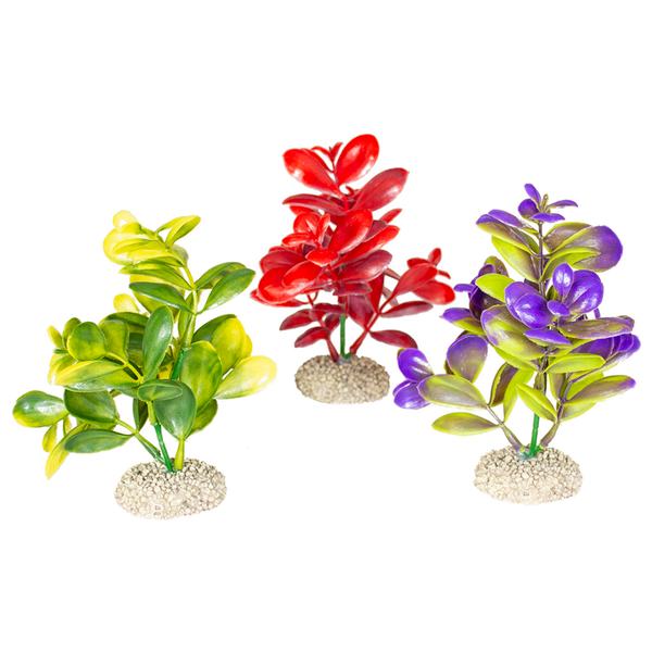 Afbeelding Aqua Della Decor Plant Crassula - Aquarium - Kunstplant - 16 cm Assorti door Petsplace.nl