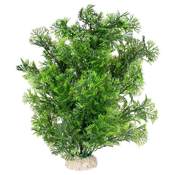 Afbeelding Aqua Della Decor Plant Phoenix - Aquarium - Kunstplant - 30 cm Donkergroen door Petsplace.nl