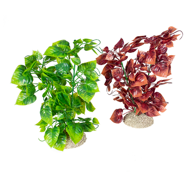 Afbeelding Aqua Della Decor Plant Anubias Nana - Aquarium - Kunstplant - 25 cm Assorti door Petsplace.nl