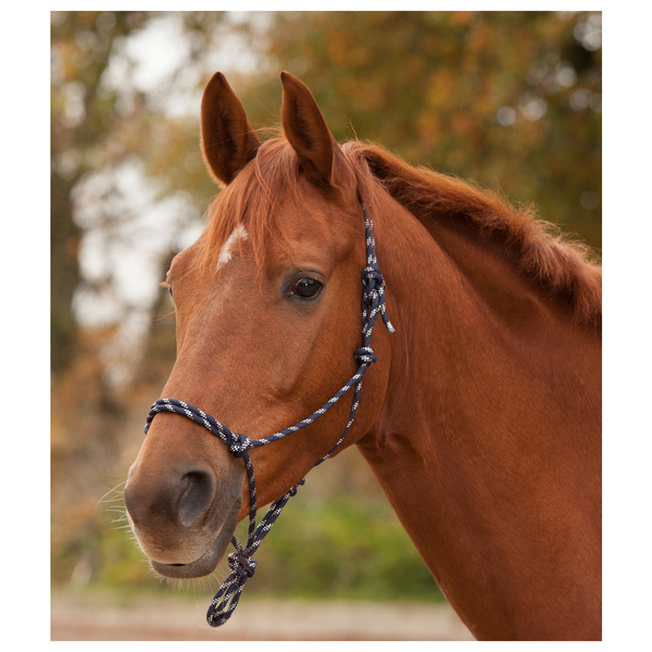 Afbeelding Waldhausen Knoophalster Zwart&Wit - Paardenhalster - Pony door Petsplace.nl