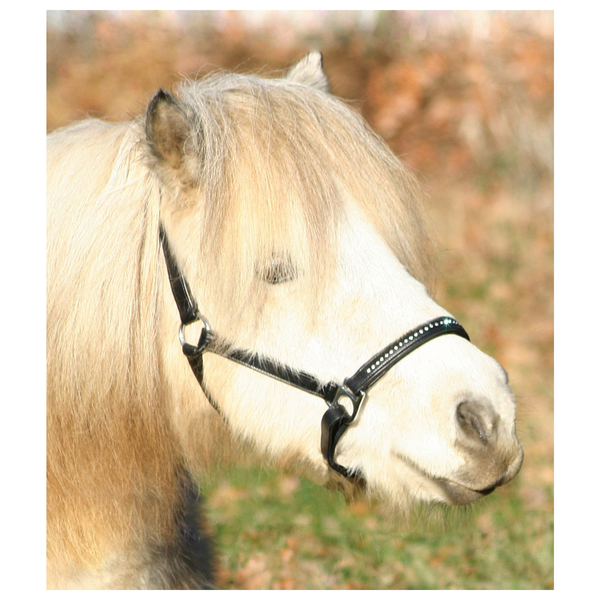 Afbeelding Waldhausen Lerenhalster Diamond Zwart - Paardenhalster - Pony door Petsplace.nl