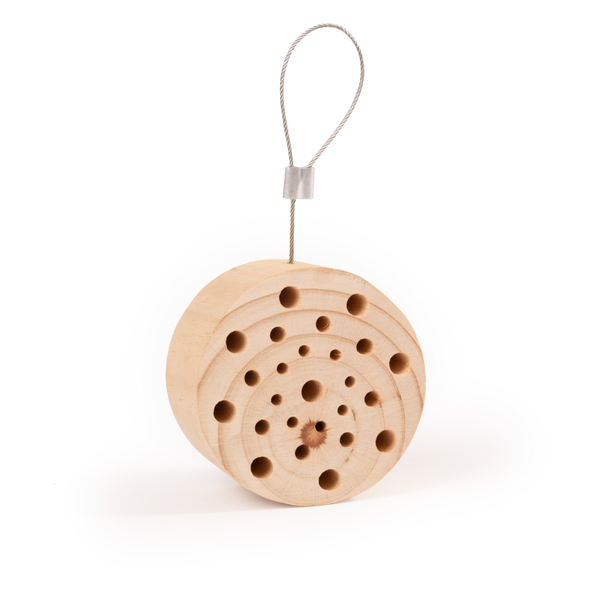 Afbeelding Wildbird Insectenhuis Gorgona - Nestkast - 9x5x15 cm door Petsplace.nl