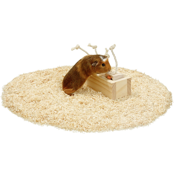 Afbeelding Flamingo Knaagdierspeelgoed Rody Brain Train Kist - Speelgoed - 21.3x8.5x7.3 cm Naturel door Petsplace.nl