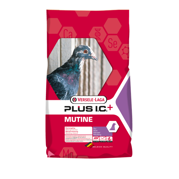 Afbeelding Versele-Laga I.C.+ Mutine Plus Ic-Rui - Duivenvoer - 20 kg door Petsplace.nl