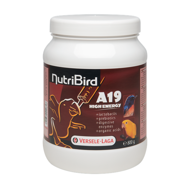 Nutribird A19 High Energy Opfokvoer voor vogels 0.8 kg