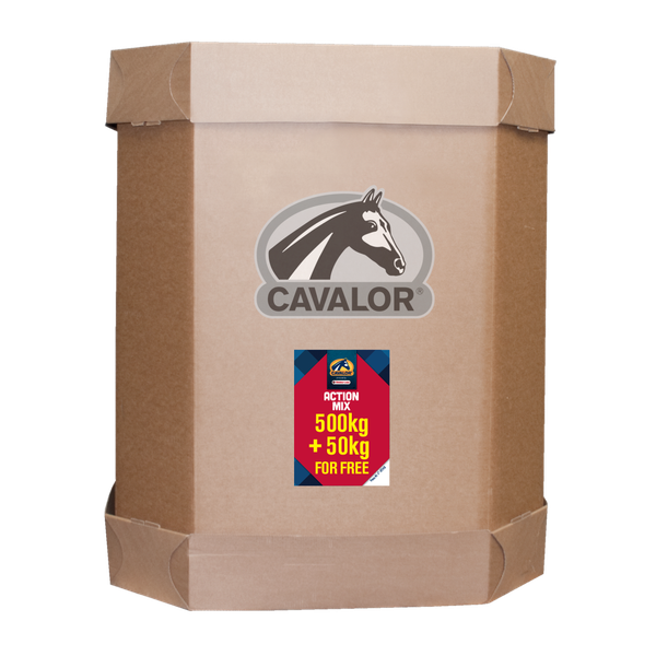 Cavalor Sport Action Mix - Paardenvoer - 500+50 kg Xl-Box Promo