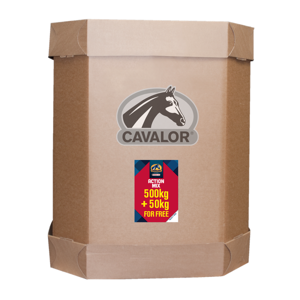 Afbeelding Cavalor Sport Action Mix - Paardenvoer - 500+50 kg Xl-Box Promo door Petsplace.nl