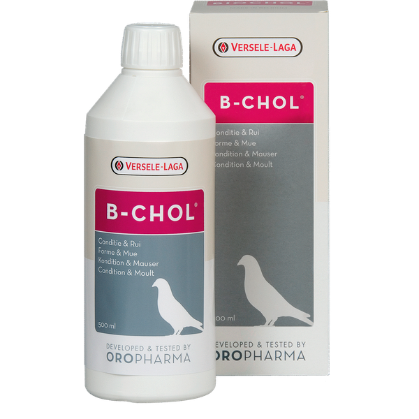 Afbeelding Biochol (B-chol) - 500 ml door Petsplace.nl