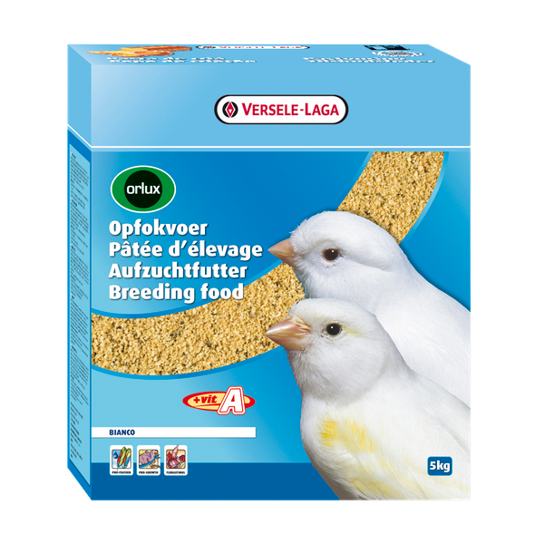 Versele Laga Orlux Opfokvoeder Bianco Vogelvoer 5 kg online kopen