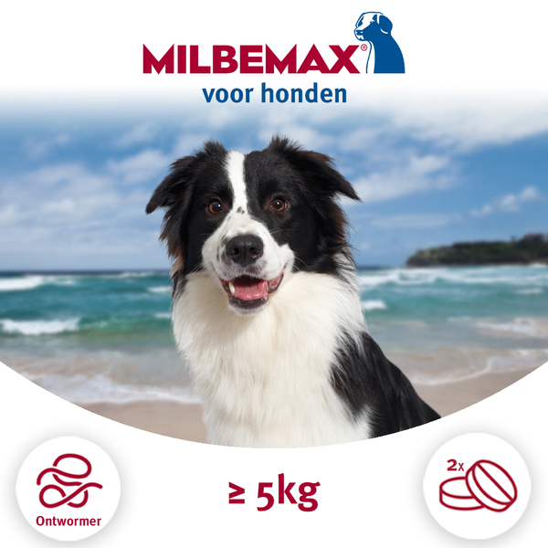 Afbeelding Milbemax - Hond door Petsplace.nl