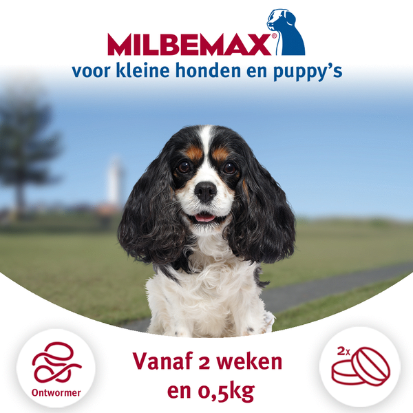 Milbemax Milbemax Pup & Hond Anti wormenmiddel 2 tab 0.5 10kg