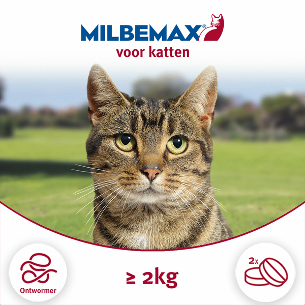 Afbeelding Elanco Milbemax Kat Kauwtabletten - Anti wormenmiddel - 2 tab 2-8kg door Petsplace.nl