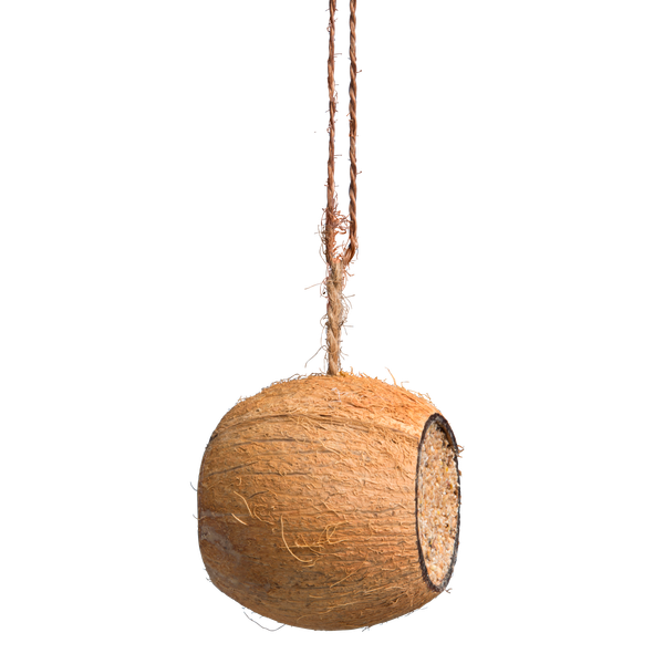Afbeelding Coco-Bird Gevulde Kokosnoot - Voer - 9x9x11 cm 450 g door Petsplace.nl