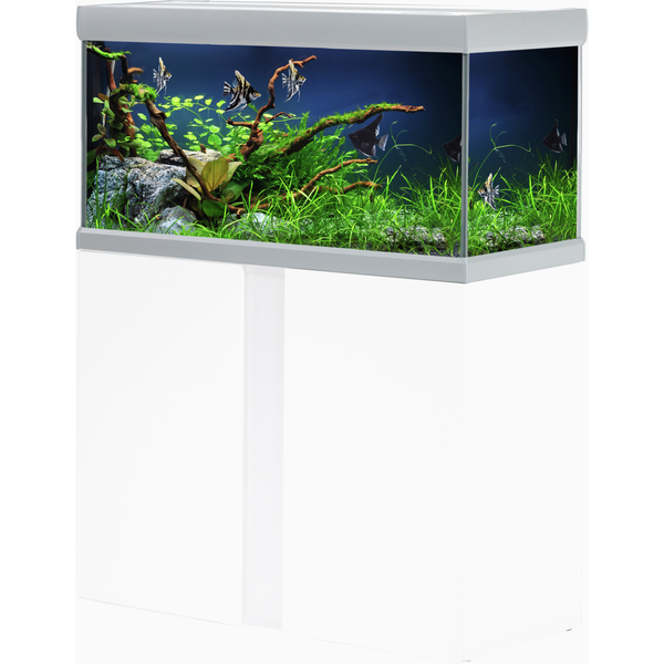 Afbeelding Akvastabil Fusion Aquarium 80 - Aquaria - 80x40x49 cm Zilver Wit Ca. 144 L door Petsplace.nl