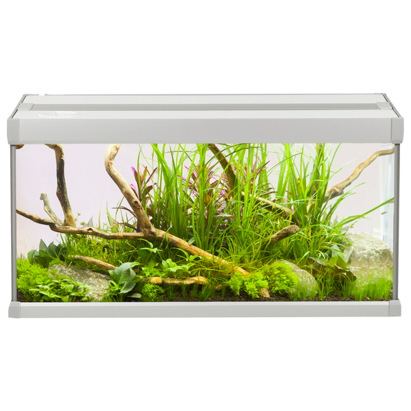 Akvastabil Family Aquarium - Aquaria - 60x30x32 cm 54 l Grijs Wit