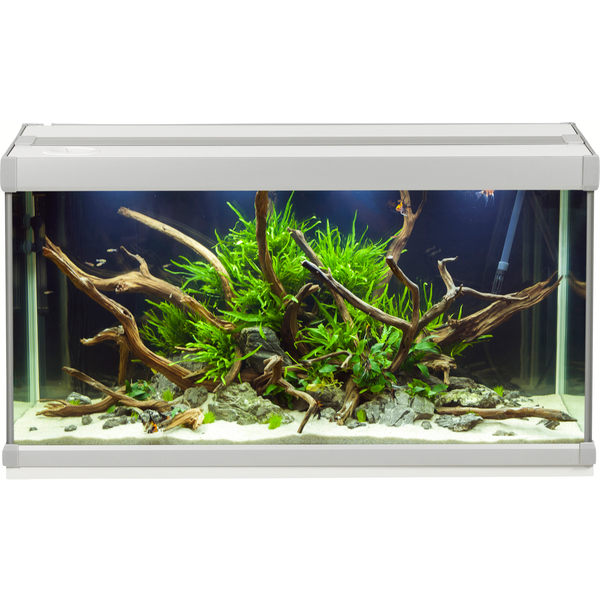 Afbeelding Akvastabil Family Aquarium - Aquaria - 70x32.5x37 cm 80 l Grijs Wit door Petsplace.nl